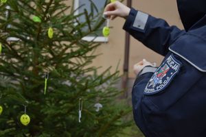 Policjanci ubierają choinkę w odblaski
