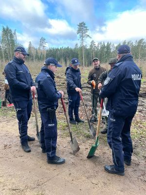 Policjanci wzięli udział w akcji „#sadziMY” i zasadzili sadzonki drzew wspólnie z pracownikami Nadleśnictwa Spychowo