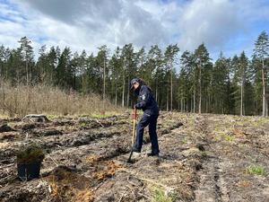 Policjanci wzięli udział w akcji „#sadziMY” i zasadzili sadzonki drzew wspólnie z pracownikami Nadleśnictwa Spychowo