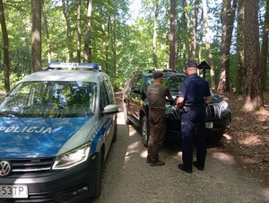 służba ze Strażą Leśną