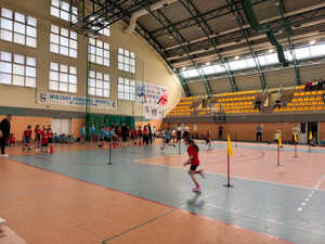 Zawody "Biały Miś" i "Rambit"